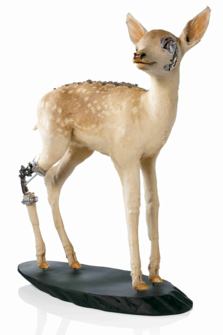 Lisa Black's Fawn, from her Fixed series.  Taxidermy, metal and clockwork parts, 2007